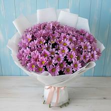 Букет цветов из:  Хризантемы #REPLACE_PRED# Урус-Мартане