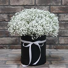 Цветочная композиция из Гипсофила в шляпной коробке в Урус-Мартане